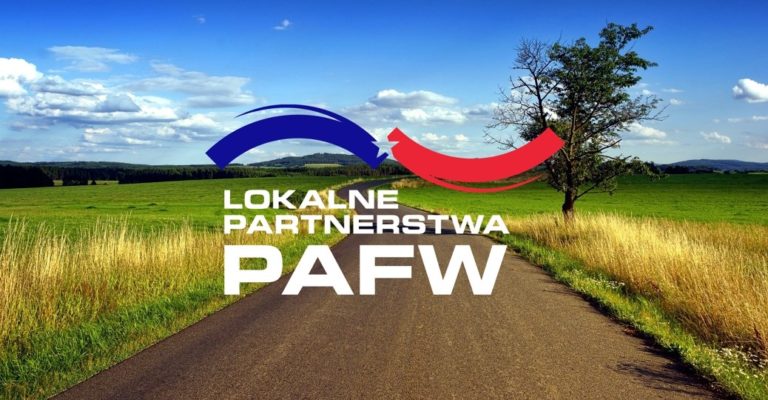 Lokalne Partnerstwa PAFW VII edycji wybrane
